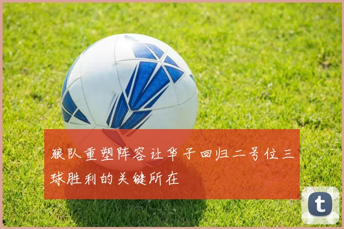 狼队重塑阵容让华子回归二号位三球胜利的关键所在